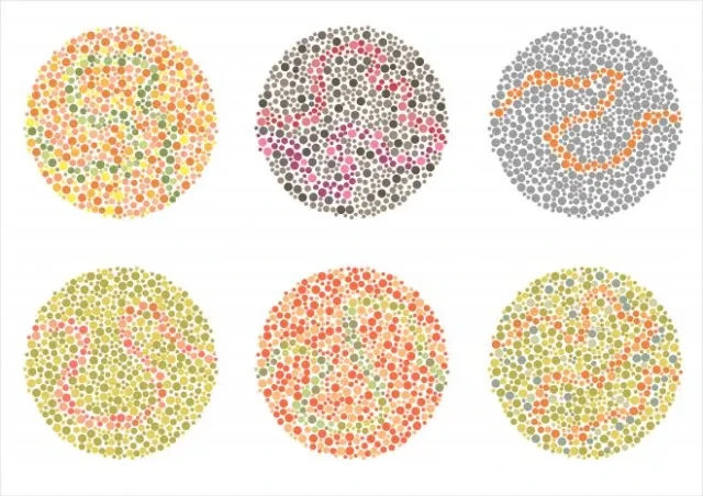 Ishihara color blindness test
